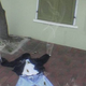 Image for article titled The Best Rapture Bomb Pictures